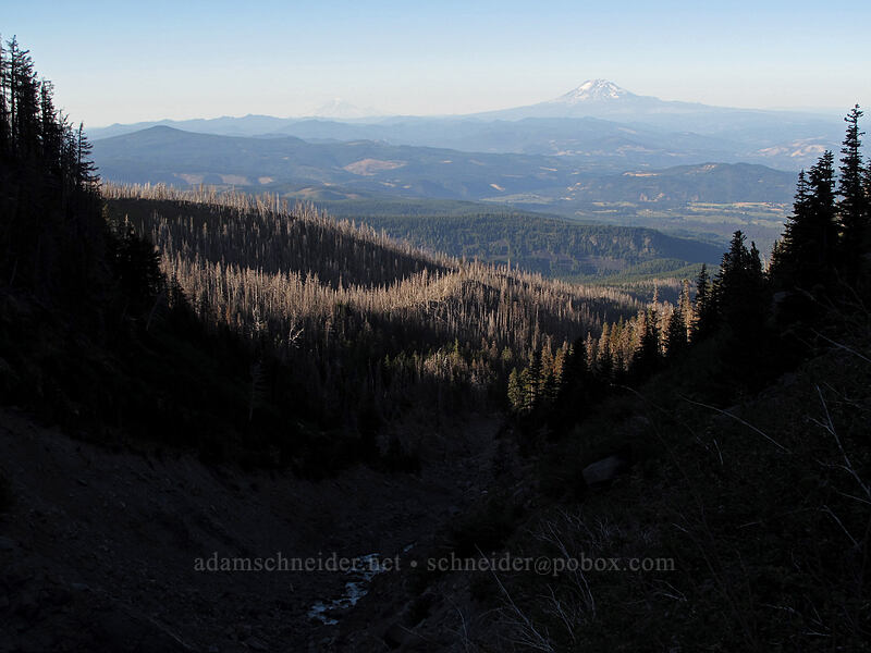 Gnarl Ridge Fire & Mt. Adams [Old Timberline Trail, Mt. Hood Wilderness, Hood River County, Oregon]