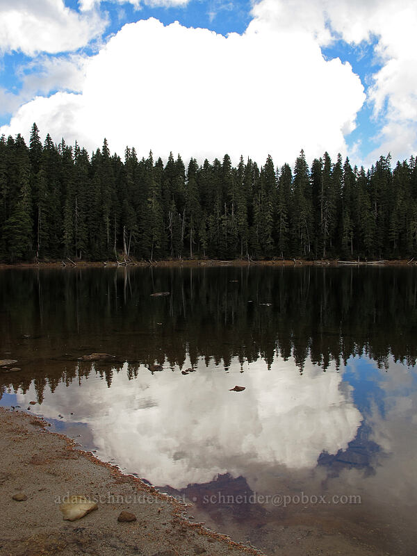 Lake Sahalee Tyee [Thomas Lake Trail, Indian Heaven Wilderness, Skamania County, Washington]