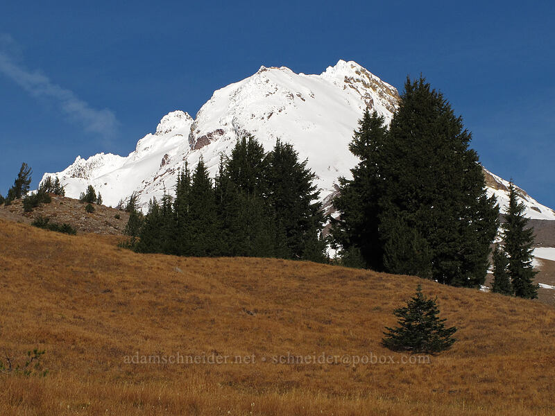 Mount Hood [above White River Canyon, Mt. Hood National Forest, Hood River County, Oregon]