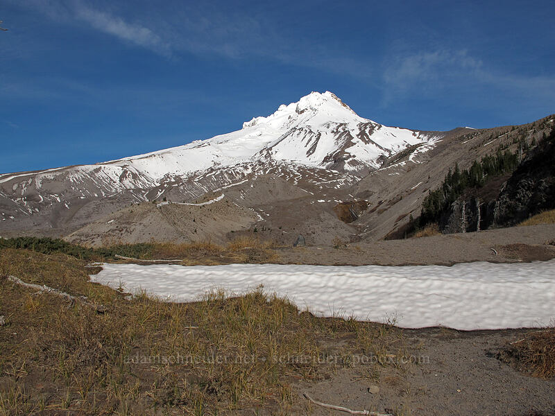 Mount Hood & an autumn snowfield [above White River Canyon, Mt. Hood National Forest, Hood River County, Oregon]