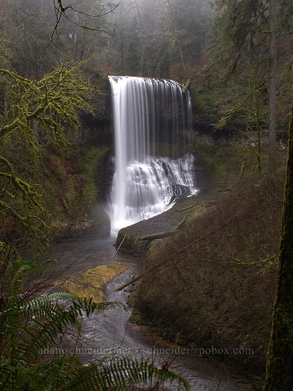 Middle North Falls [Canyon Trail, Silver Falls State Park, Marion County, Oregon]