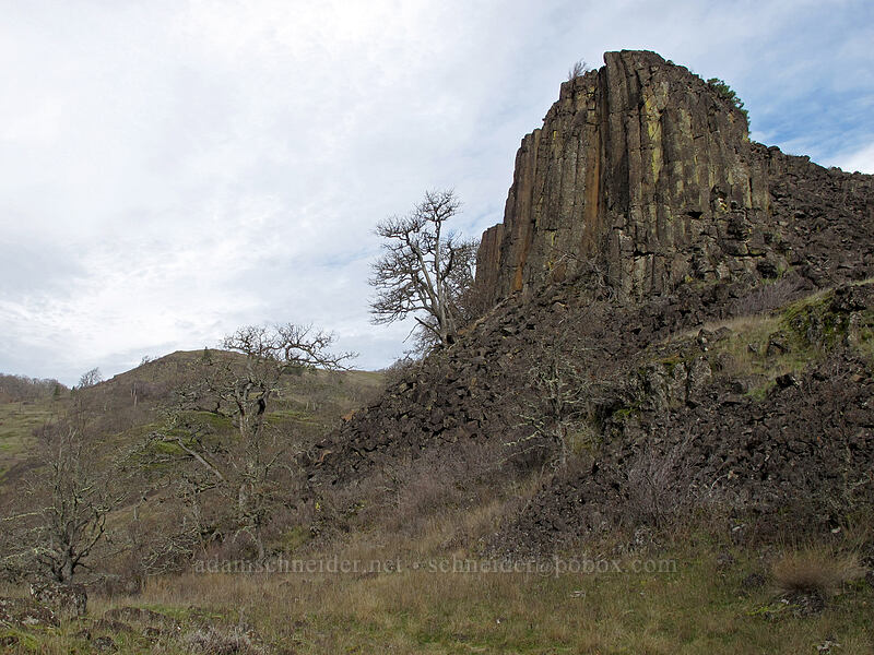 basalt cliffs [The Labyrinth, Klickitat County, Washington]