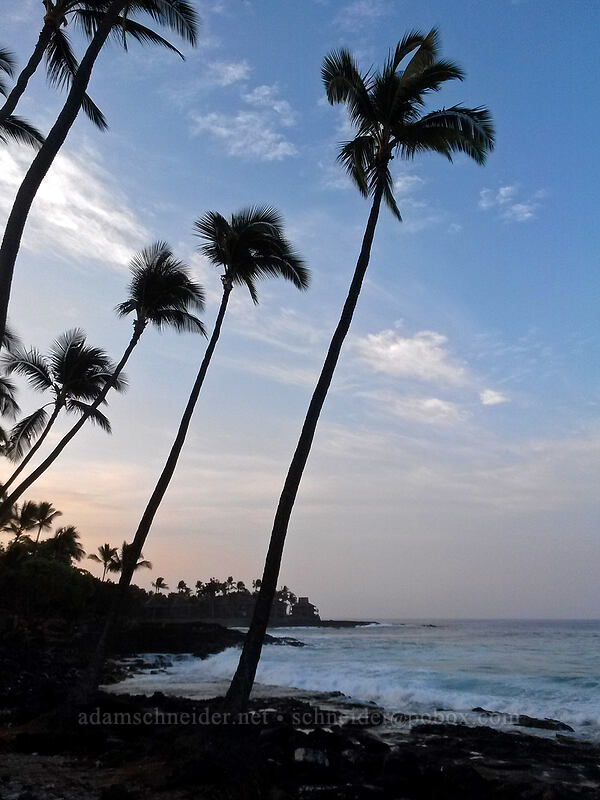 sunrise [White Sands Beach Park, Kona Coast, Big Island, Hawaii]