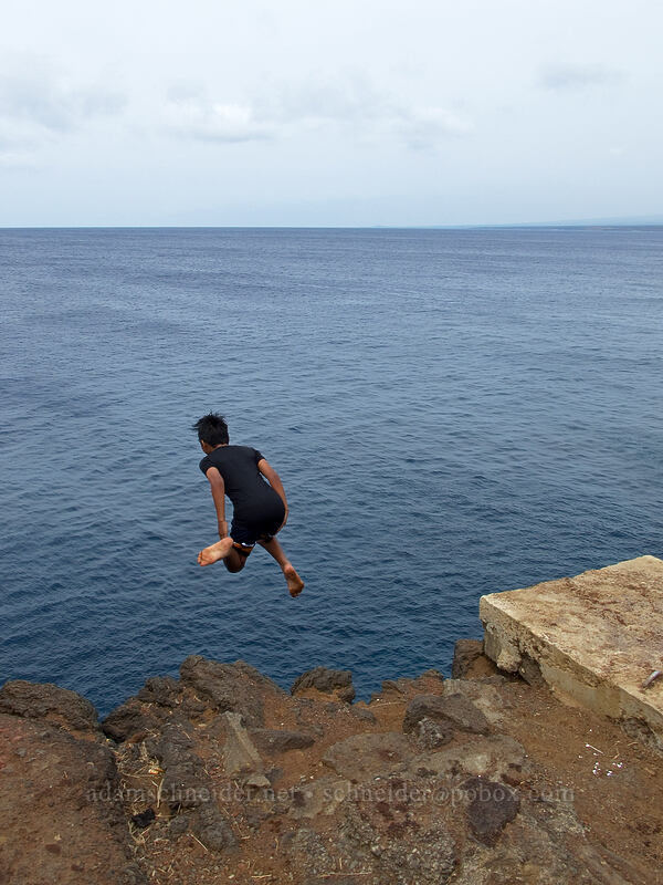 cliff jumper [South Point (Ka Lae), Ka'u District, Big Island, Hawaii]