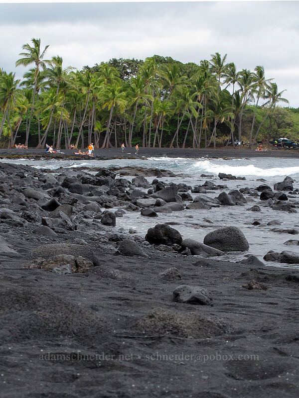 black sand beach [Punalu'u Beach Park, Punalu'u, Big Island, Hawaii]