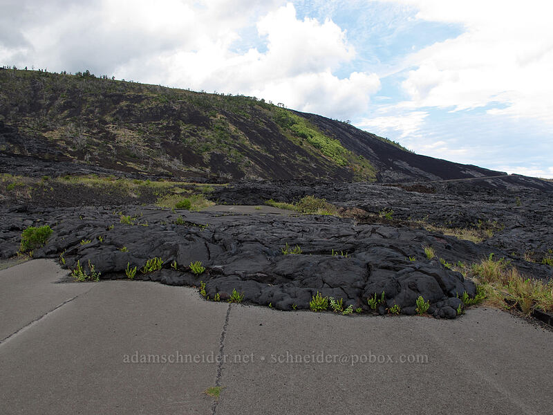 lava on the old road [Chain of Craters Road, Hawaii Volcanoes National Park, Big Island, Hawaii]
