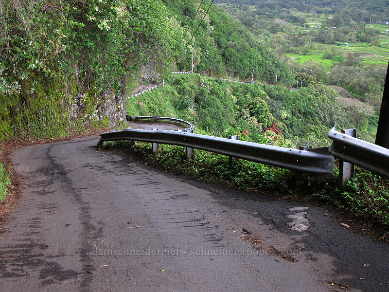 the road to Waipi'o [Waipi'o Valley Road, Waipi'o, Big Island, Hawaii]