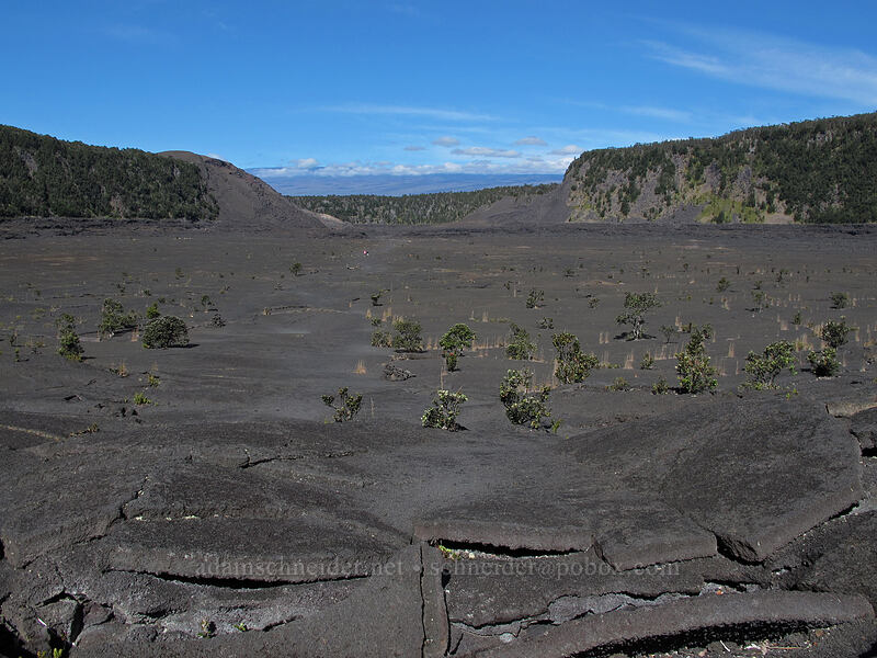 Kilauea Iki Crater [Kilauea Iki Crater, Hawaii Volcanoes National Park, Big Island, Hawaii]
