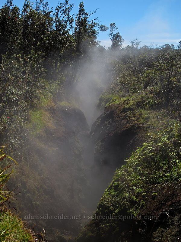 steam vent [Sulphur Banks Trail, Hawaii Volcanoes National Park, Big Island, Hawaii]