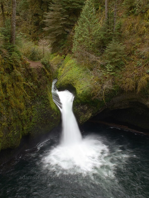 Punchbowl Falls [Eagle Creek Trail, Columbia River Gorge, Hood River County, Oregon]