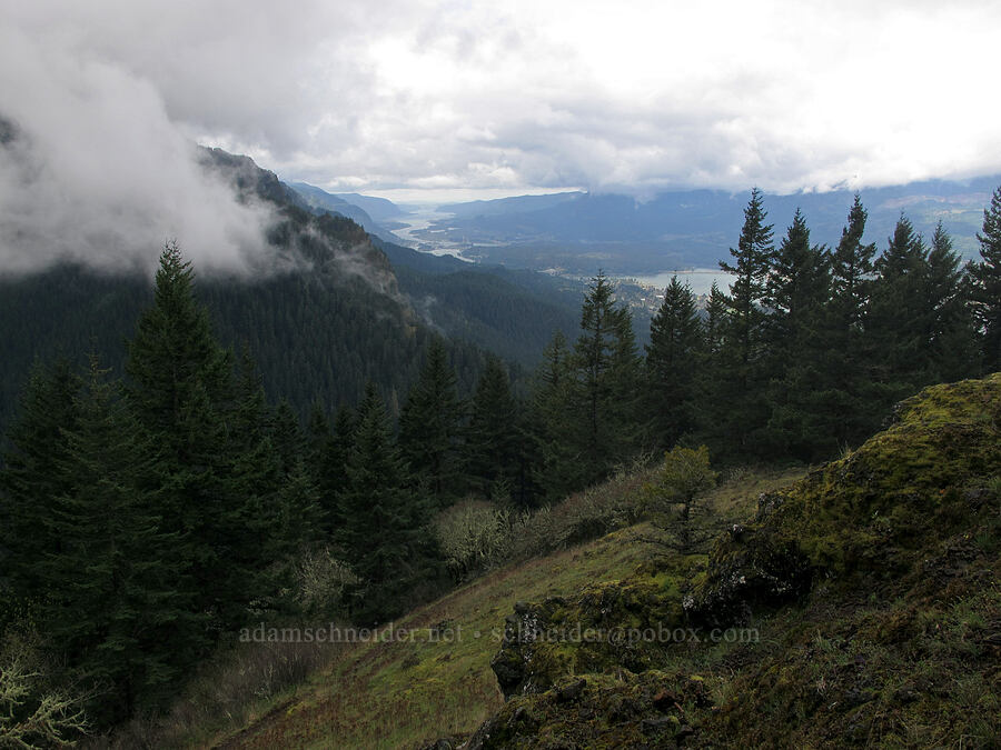 Columbia River Gorge [Nick Eaton Trail, Mt. Hood National Forest, Hood River County, Oregon]