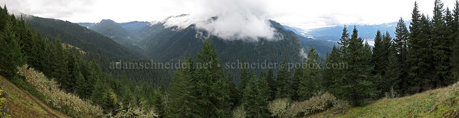 Herman Creek panorama [Nick Eaton Trail, Mt. Hood National Forest, Hood River County, Oregon]