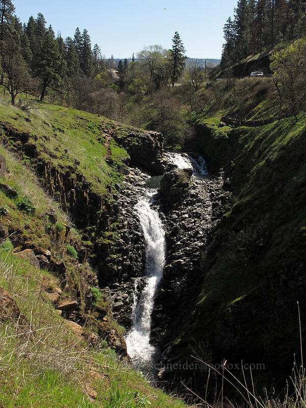 Mosier Creek Falls [Mosier Plateau Trail, Mosier, Wasco County, Oregon]
