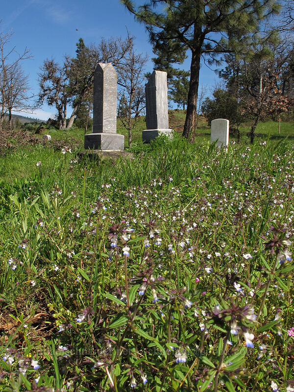 Mosier Pioneer Cemetery [Mosier Plateau Trail, Mosier, Wasco County, Oregon]