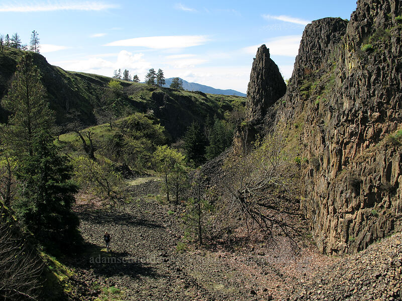 Memaloose Pinnacles [Memaloose State Park, Mosier, Wasco County, Oregon]