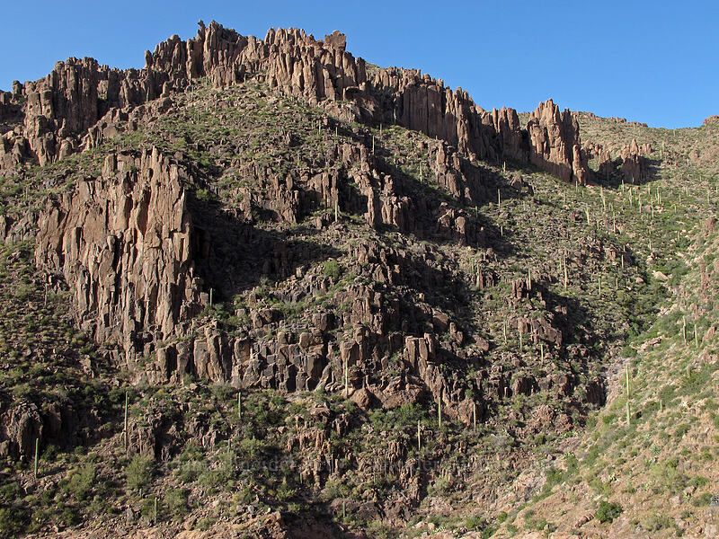 cliffs & cacti [Siphon Draw Trail, Superstition Wilderness, Pinal County, Arizona]