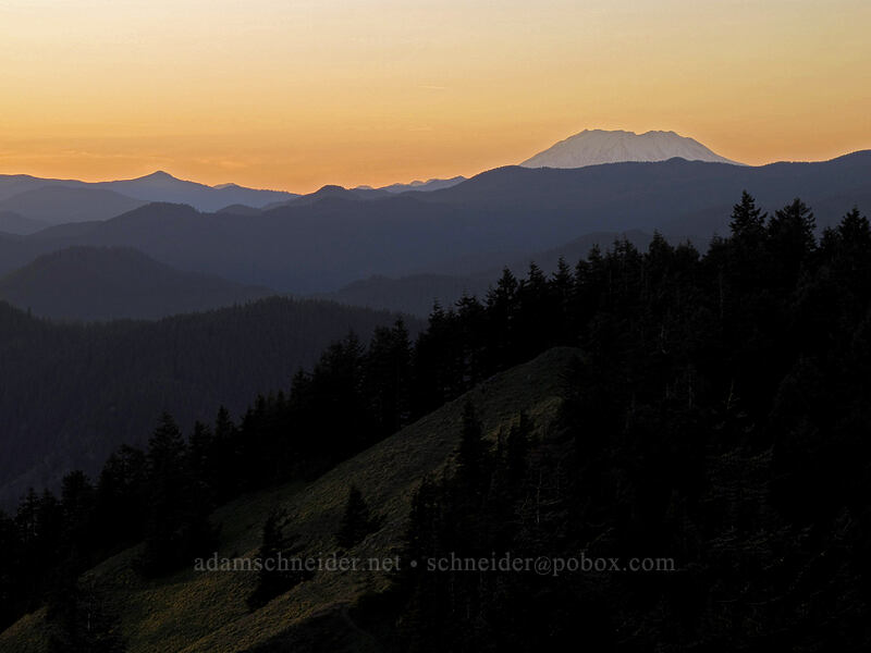 Mt. St. Helens at sunset [Dog Mountain summit, Gifford Pinchot National Forest, Skamania County, Washington]
