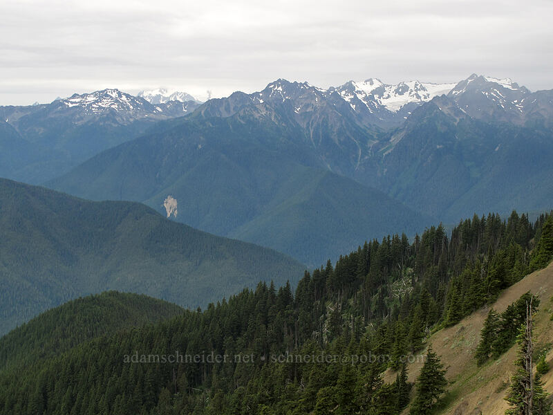 Mt. Olympius & Mt. Carrie [Hurricane Ridge, Olympic National Park, Clallam County, Washington]