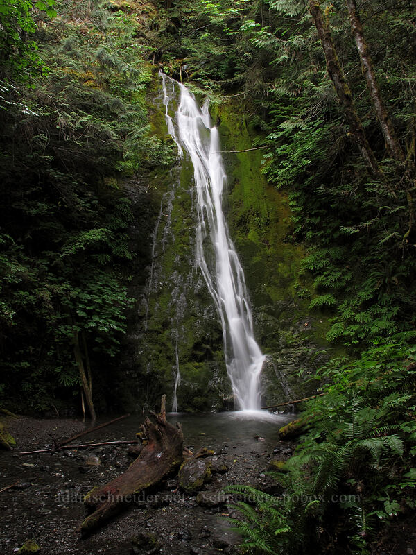 Madison Creek Falls [Elwha River Valley, Olympic National Park, Clallam County, Washington]