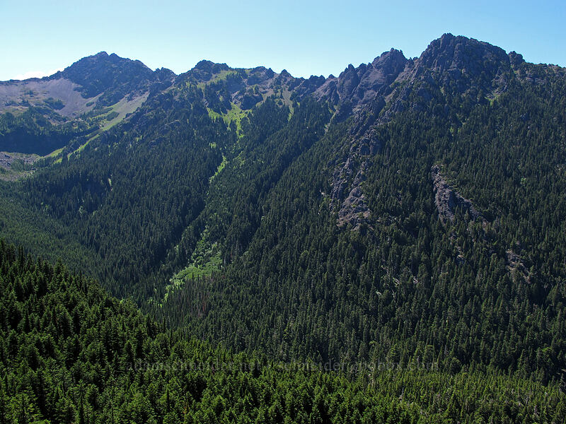 Mt. Angeles & Second Top [Lake Angeles Trail, Olympic National Park, Clallam County, Washington]