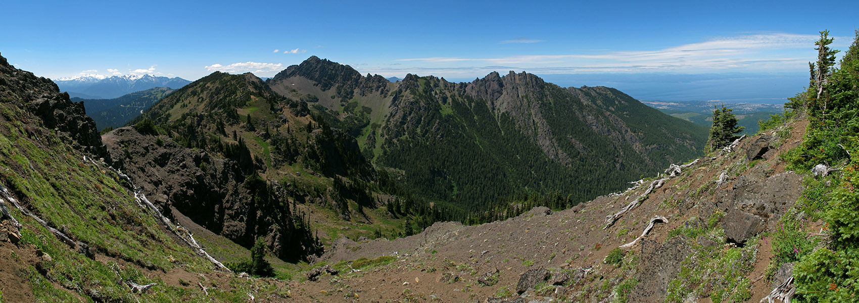 Klahhane Ridge panorama [Lake Angeles Trail, Olympic National Park, Clallam County, Washington]