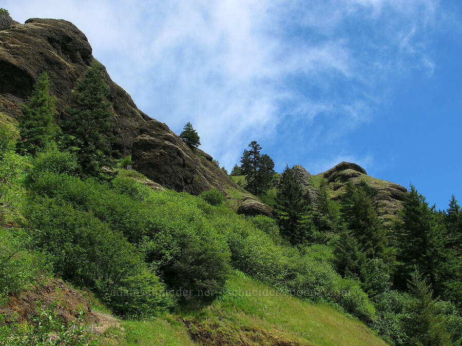 blue sky & basalt cliffs [Saddle Mountain Trail, Clatsop County, Oregon]
