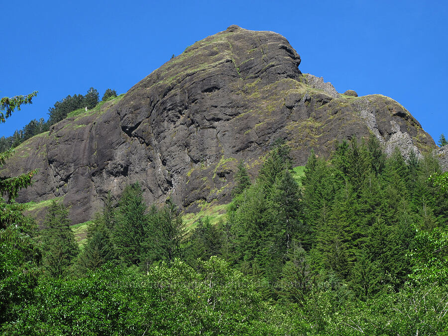 view from the parking lot [Saddle Mountain Trailhead, Clatsop County, Oregon]