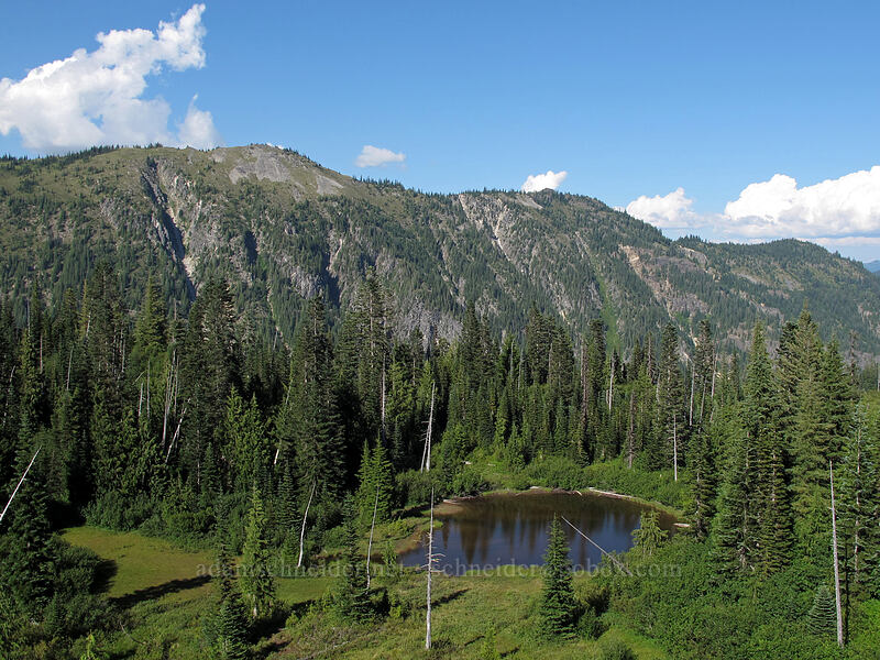 Bench Lake & Stevens Ridge [Snow Lake Trail, Mt. Rainier National Park, Lewis County, Washington]