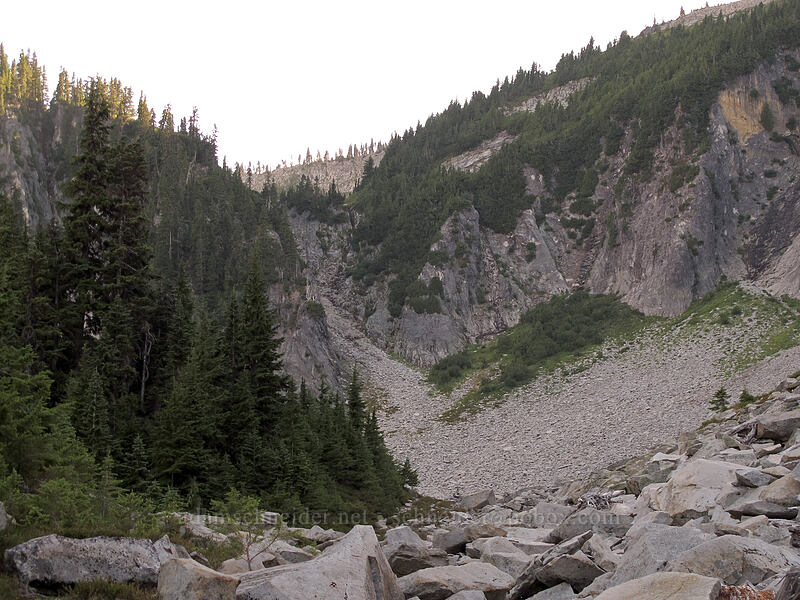 chute leading to Unicorn Peak [Snow Lake Trail, Mt. Rainier National Park, Lewis County, Washington]