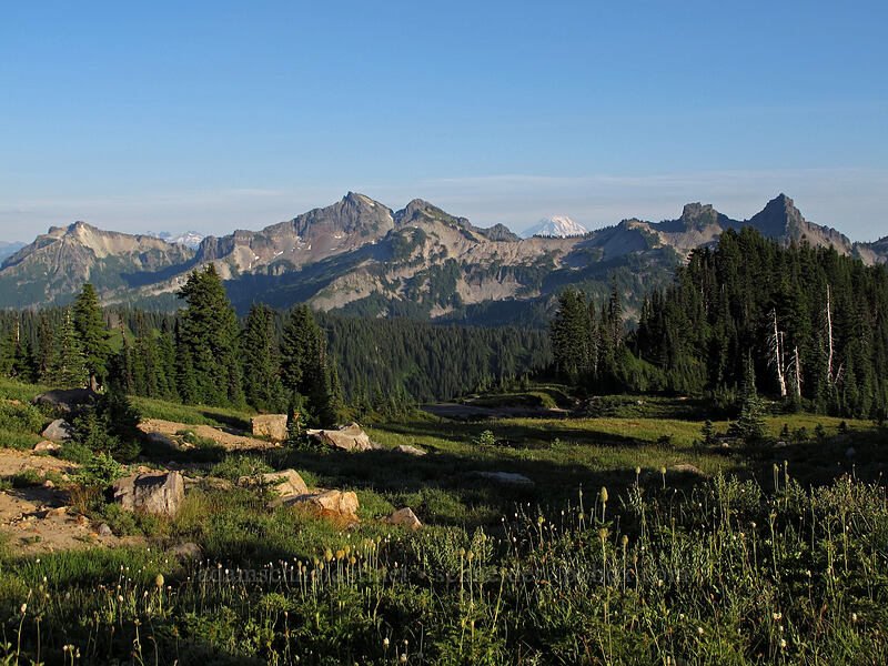 Tatoosh Range & Mt. Adams [Deadhorse Creek Trail, Mt. Rainier National Park, Pierce County, Washington]