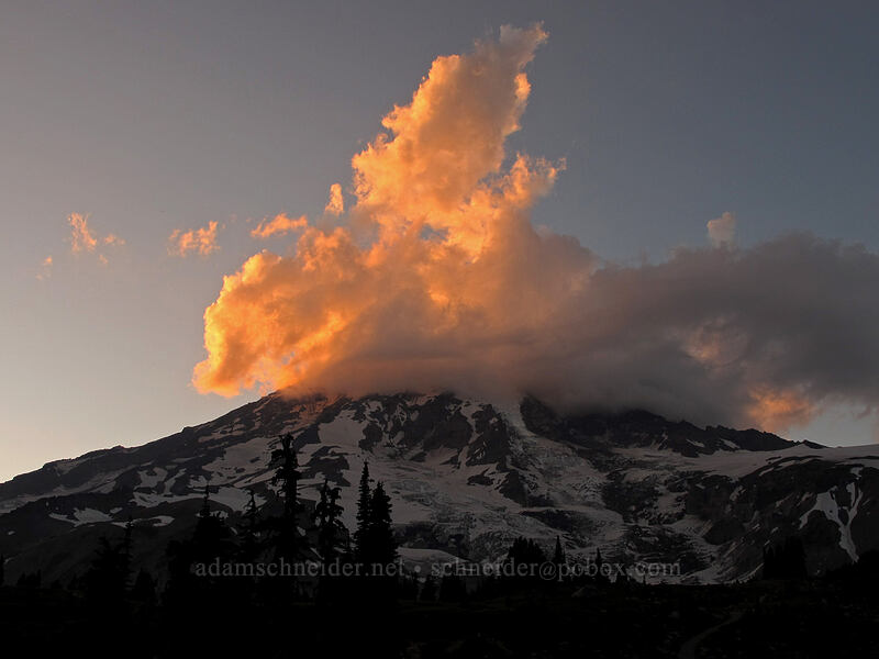 Mount Rainier at sunset [Skyline Trail, Mt. Rainier National Park, Pierce County, Washington]