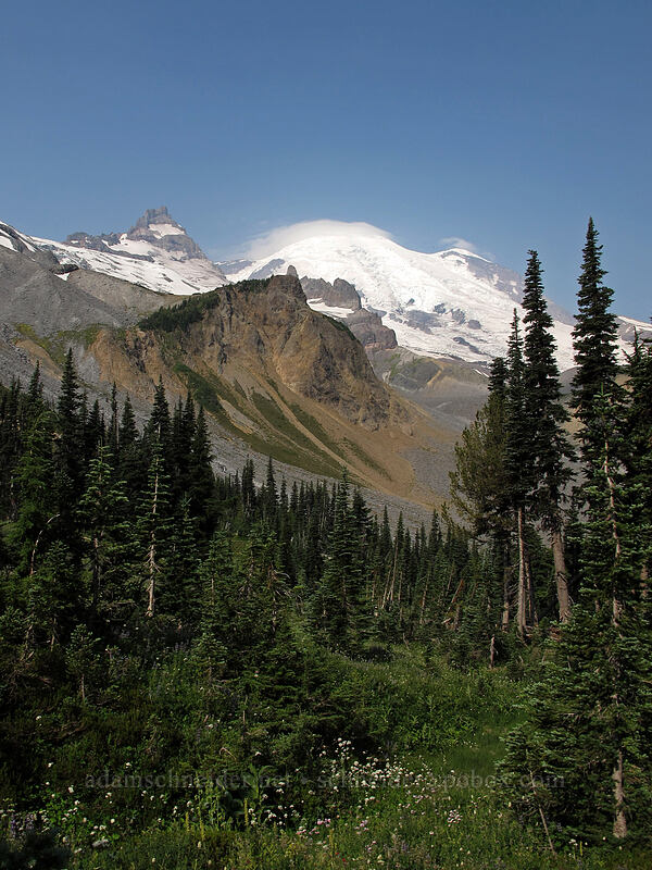 Little Tahoma & Mount Rainier [Summerland, Mt. Rainier National Park, Pierce County, Washington]