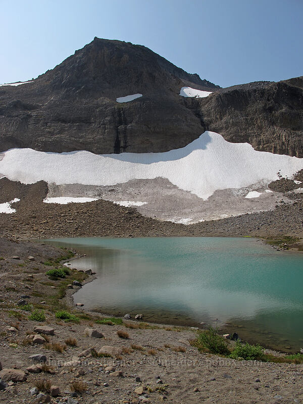 meltwater pond [Wonderland Trail, Mt. Rainier National Park, Pierce County, Washington]