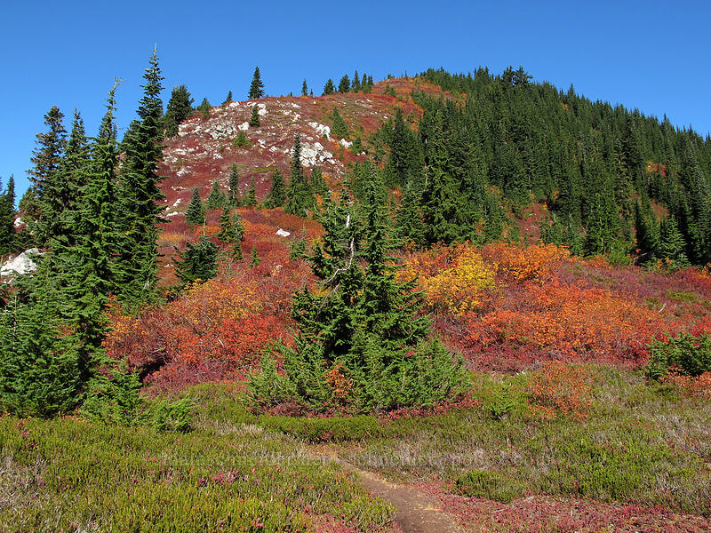 fall colors [Mt. McCausland, Henry M. Jackson Wilderness, Chelan County, Washington]