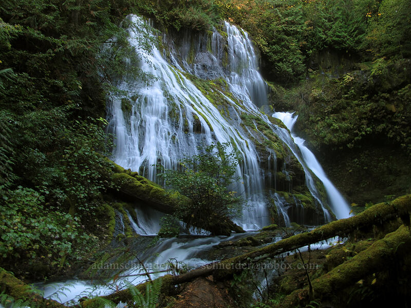 Panther Creek Falls [Panther Creek Falls, Gifford Pinchot National Forest, Skamania County, Washington]