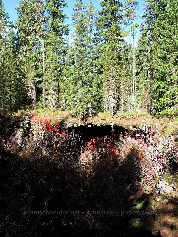 pit #2 [Falls Creek Cave, Gifford Pinchot National Forest, Skamania County, Washington]