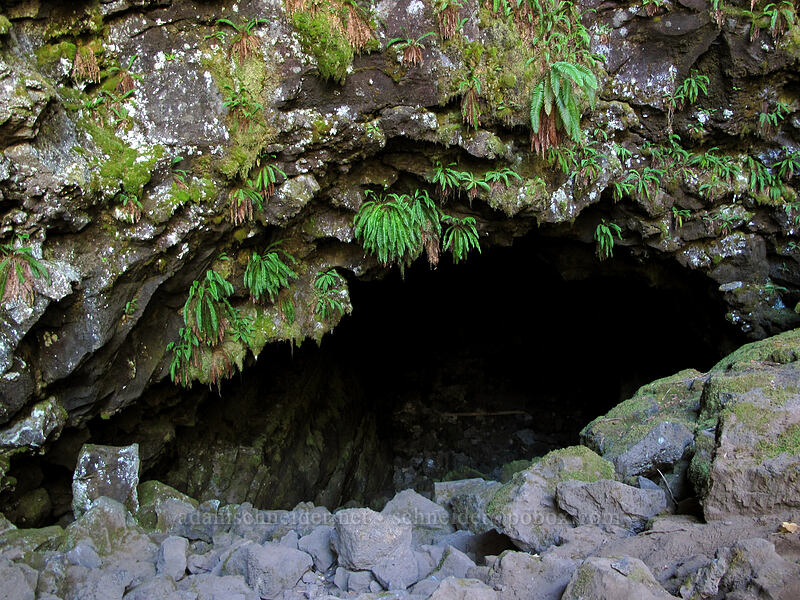 cave entrance (pit #3) [Falls Creek Cave, Gifford Pinchot National Forest, Skamania County, Washington]