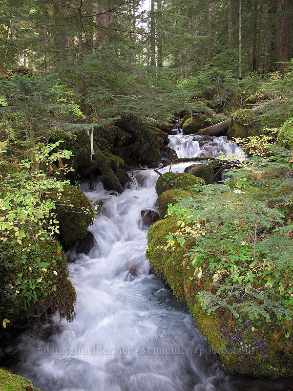 Rushingwater Creek [Pacific Crest Trail, Mt. Hood Wilderness, Clackamas County, Oregon]