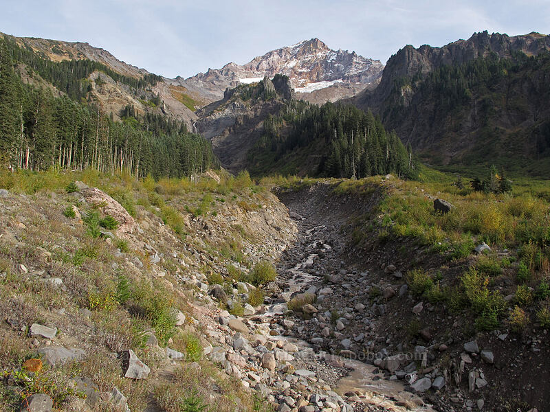 Mount Hood & Muddy Fork [Pacific Crest Trail, Mt. Hood Wilderness, Clackamas County, Oregon]