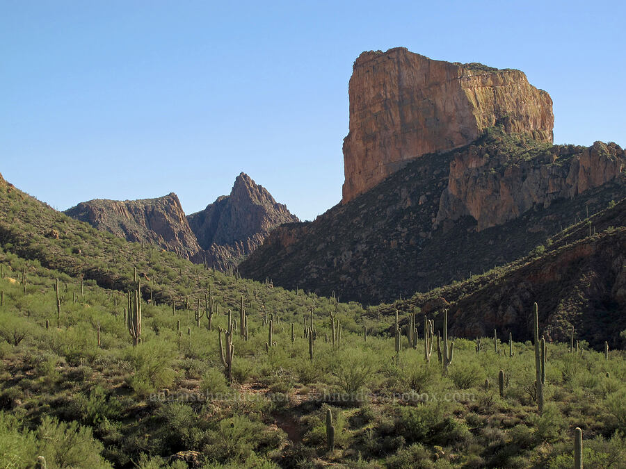 Battleship Mountain [Boulder Canyon Trail, Superstition Wilderness, Maricopa County, Arizona]