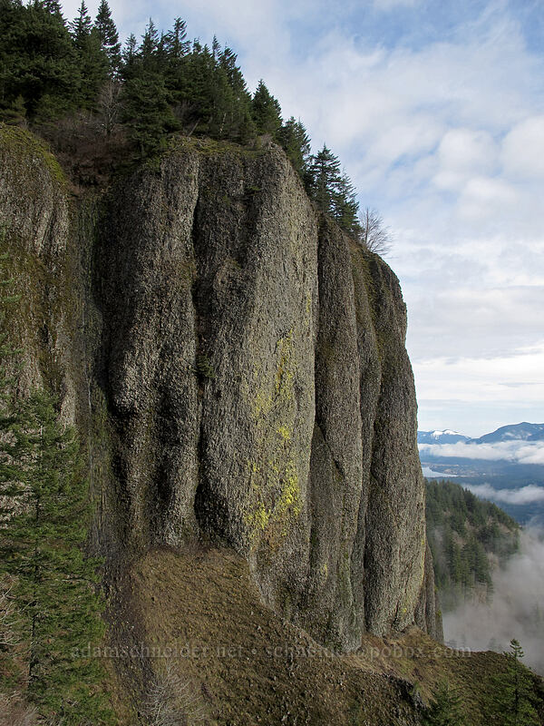 edge of Hamilton Mountain [Little Hamilton Mountain, Beacon Rock State Park, Skamania County, Washington]