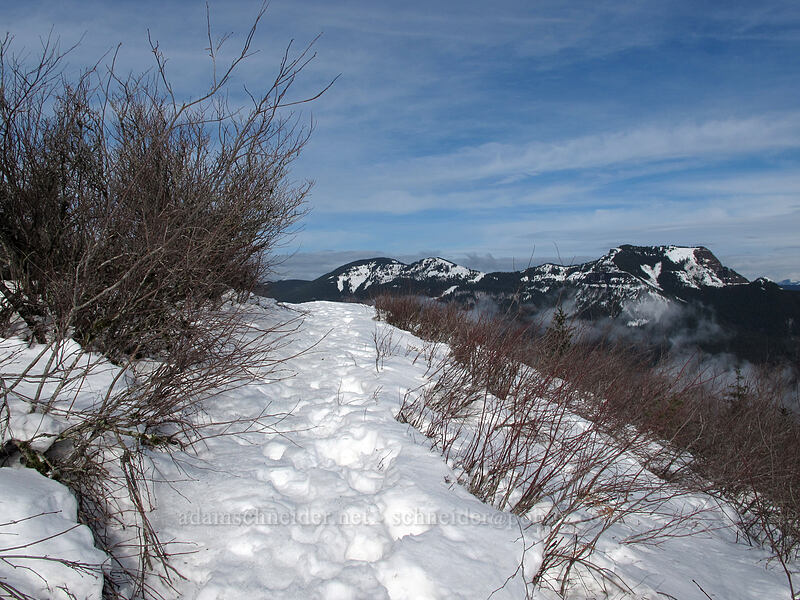 Hamilton Mountain summit & Table Mountain [Hamilton Mountain Trail, Beacon Rock State Park, Skamania County, Washington]