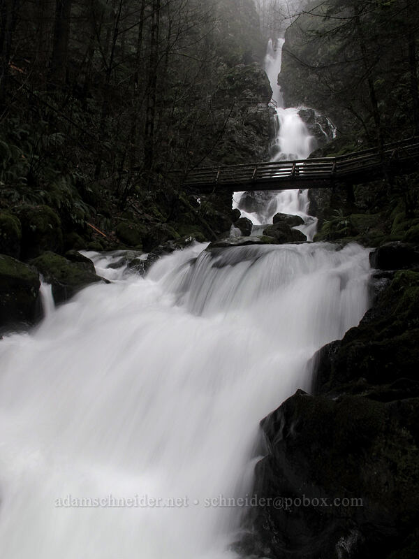 Rodney Falls & bridge [Hamilton Mountain Trail, Beacon Rock State Park, Skamania County, Washington]