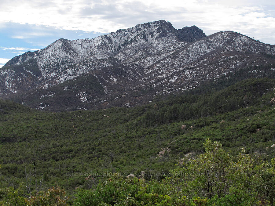 Brown's Peak [Forest Road 648, Tonto National Forest, Gila County, Arizona]