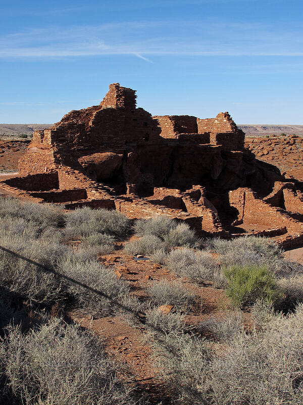 12th century ruins [Wupatki Pueblo, Wupatki National Monument, Coconino County, Arizona]