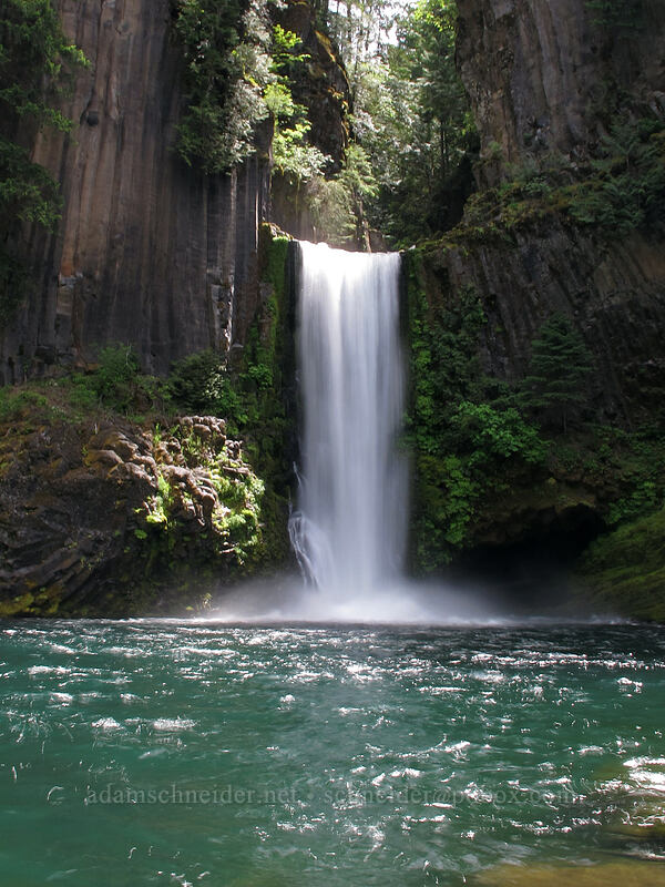 Toketee Falls [Toketee Falls Trail, Umpqua National Forest, Douglas County, Oregon]