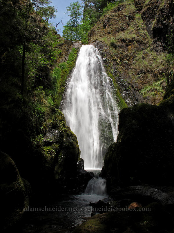 Susan Creek Falls [Susan Creek Falls Trail, BLM Roseburg District, Douglas County, Oregon]