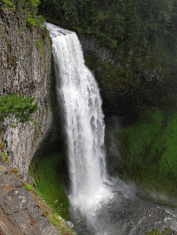 Salt Creek Falls [Salt Creek Falls, Willamette National Forest, Lane County, Oregon]