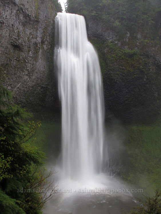 Salt Creek Falls [Salt Creek Falls, Willamette National Forest, Lane County, Oregon]