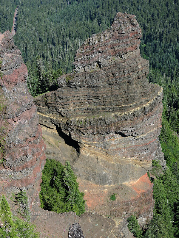 Iron Mountain's pinnacle [Iron Mountain summit, Willamette National Forest, Linn County, Oregon]